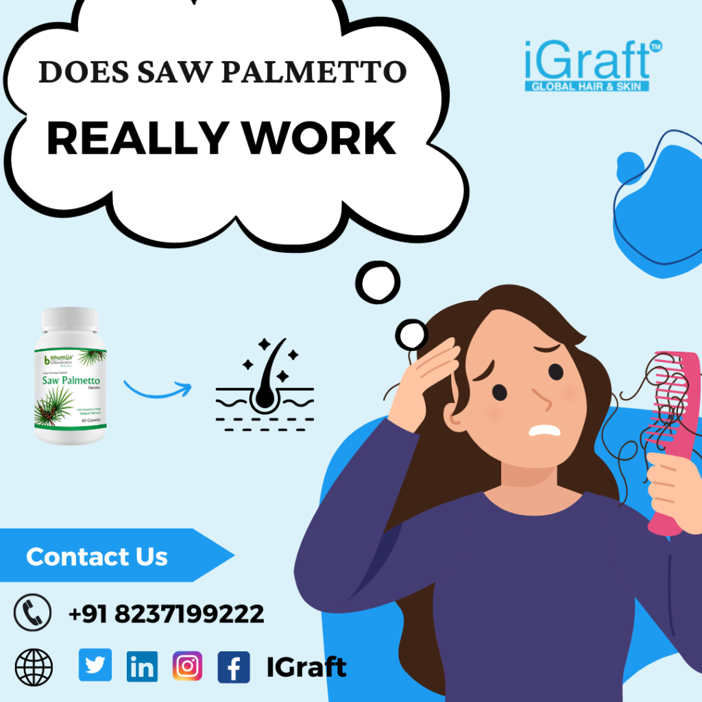 Saw palmetto
